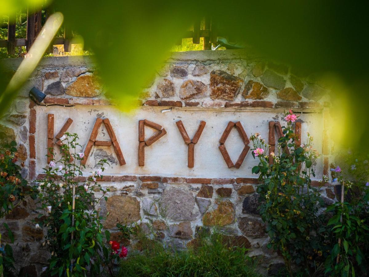 Karyon Apartments Kariofiton Экстерьер фото
